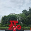 (주)삼화버스공사 | 대만여행 아이랑 가볼만한 곳 타이페이 시립동물원( feat. 가는방법,입장권,셔틀버스,관람꿀팁)