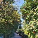 신흥2리마을회관 이미지