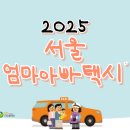2025년 서울엄마아빠택시 신청 후기,서류,이용방법 AtoZ 알아보기