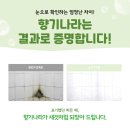 성산청소나라