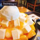 설빙 Daum카페