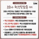 아이온태권도 이미지