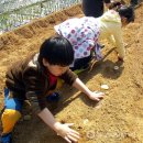 청소초등학교 이미지