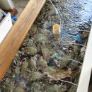 정평수산 이미지