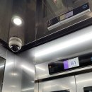 홍도지하보도 이미지