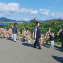 화창농원 이미지