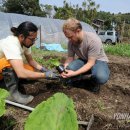 현씨농장 이미지