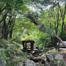 양평밸리관광펜션 이미지