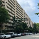 압구정-117 이미지