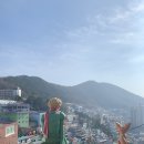프롬초이 이미지