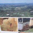 농업회사법인 자연과농부(주)