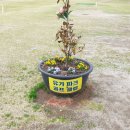 구지 이미지