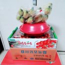 진주원예농협도매시장지점 | 진주 맛집 초전 원예농협 도매시장 과일 최고지요.