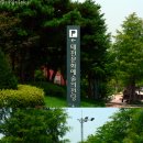 예술의전당 옆 광장 이미지