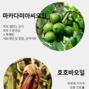 나들이화장품 이미지
