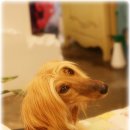 마스 이미지
