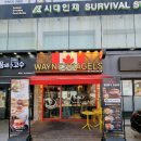 웨인스베이글스 대치점