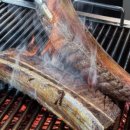 수원-1491 이미지