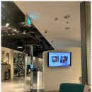 아티뉴성형외과의원 이미지