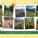 청룡초등학교병설유치원 이미지