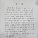 담배꽁초 및 쓰레기 무단 투기 금지 이미지