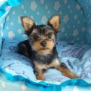 최광호동물병원 이미지