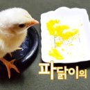 마실먹빵 이미지