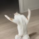 신만용신가네매운떡볶이 이미지