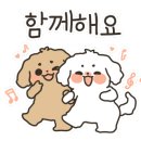 제이티마케팅