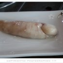 희락복어 이미지