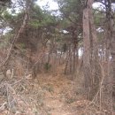 삼보세탁소 이미지