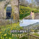 29170-4-A-04 | 경기도 광주 화담숲 모노레일 벚꽃 실시간 수선화축제 26.4.14