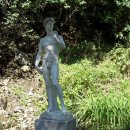 아라크노피아생태수목원 Daum카페