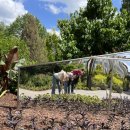 우리곱창 이미지