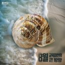 (주)올바른