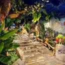 파시헬스클럽 | 나무의 일기 25