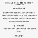 위즈앤 이미지
