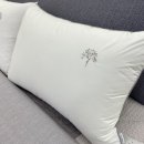 알레르망 오광장점 이미지