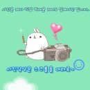 솔카오토테크 이미지