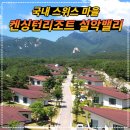 고성 켄싱턴리조트 설악밸리 리얼후기