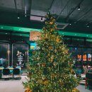 크라프카페라운지거북섬점 | [경기/시흥] 크라프 카페라운지 거북섬점 재방문 후기_거북섬 카페, 공연 내돈내산