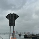 반도낚시 | [베트남] 다낭 특별한 경험 손트라 반도 스노클링, 낚시 반나절 투어 예약 및 가격 내돈내산 후기