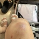 다드림애드 앞 교통섬 | 🇮🇹ITALY_Venice 06.09-06.12