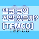 TEMCO 템코 코인 전망 무엇이길래 ?