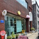 (주)모그온 | 속초/고성 소품샵 탐방 (호두잡화점, 조개줍깅, 모그링, 번투드)