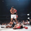 불스복싱 이미지