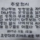 청흥 이미지
