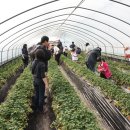 다물목장 이미지