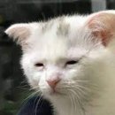 건대 고기굽는놈 본점 :: 철분보충 와방하게 하고옴