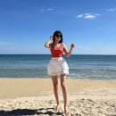 멍박스 | [공지] 양양 애견동반 해수욕장 멍비치 주말 당일치기 방문 후기 (+가격)
